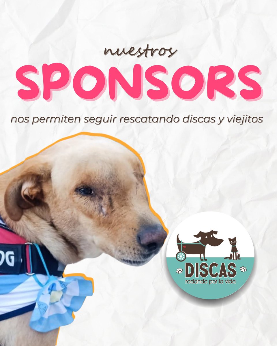 DiscasCba's tweet photo. Conocé a los Sponsors que nos permiten seguir rescatando y rehabilitando vidas 📷
San Nicolas Salud Mental @sannicolas.saludmental
Clínica Privada Integral de Salud Mental
Contacto: 351 703 4611
Traslados Guau @gabiszafran

SIGUE👇👇👇 https://t.co/f8sBS5a4l5