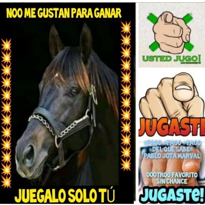 PabloJota27's tweet photo. ((( TINTA FINA ))) Si #JUGASTES Es Que Te Están Pasando Por Bolas Y NOOO Estás En Nada, Llegó 5ta Con Más Pena Que Gloria Está #TORREDEPAPEL https://t.co/wiMskgdLl2