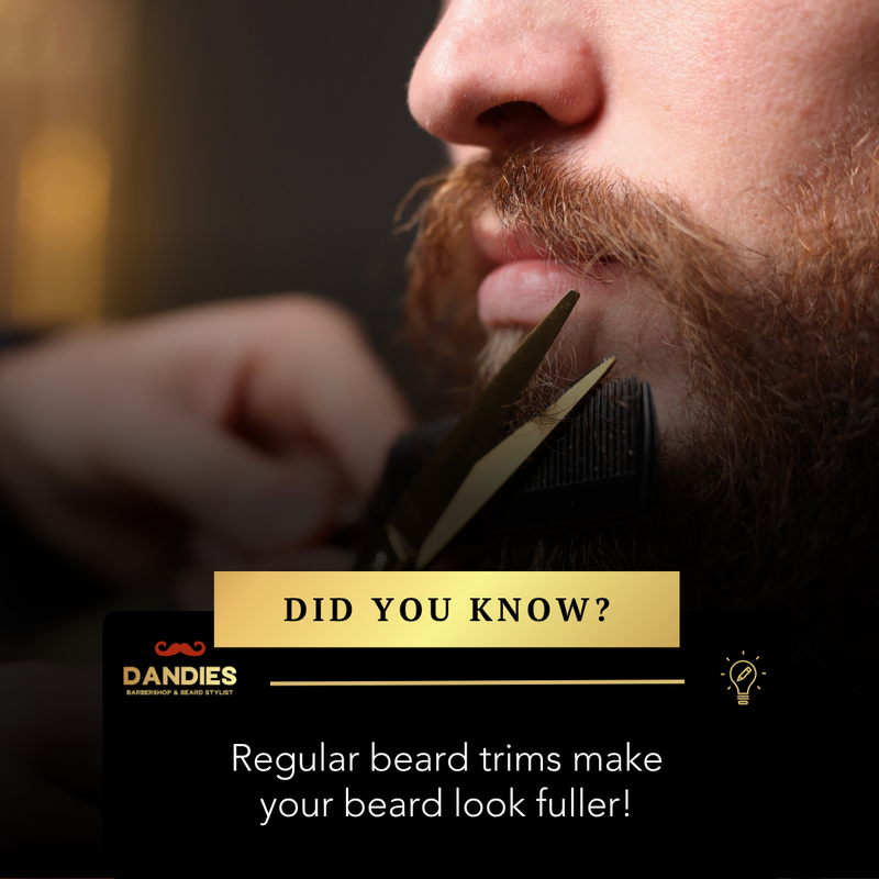 dandiesbarber's tweet photo. ๐ก Did you know? Regular beard trims can actually help your beard grow healthier and look fuller.
By shaping the beard and trimming split ends, your beard keeps a cleaner appearance and becomes easier to maintain at home.
#BeardTips #GroomingKnowledge #DandiesBarber https://t.co/2baBFXfZ1K