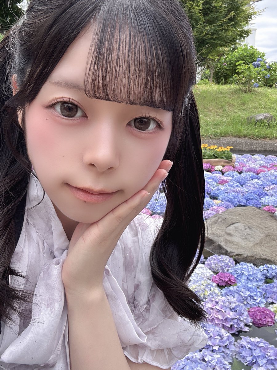 rc_api___ tweet picture