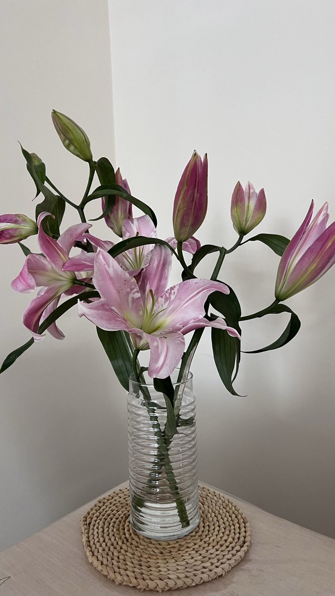 Naasrinnaaaa's tweet photo. I heard that lilies mean: 
i dare you to love me https://t.co/svcq0ZYJd2