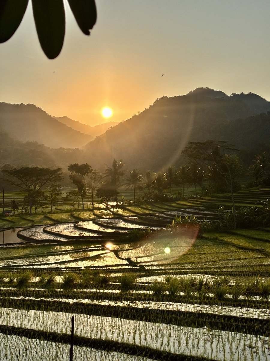 Perbsian's tweet photo. Playground dengan pemandangan sawah yang membentang. Menurut kalian, tempat ini punya nilai berapa ya? 

Loc: Kopi Ingkar Janji, Jogja https://t.co/Ij64Y6z2EP