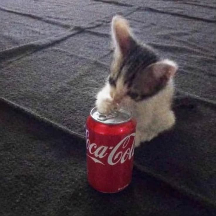240ls_'s tweet photo. how pinterest sees me:
- cake 
- drink
- outfit
- thai actor

силли мистириус вайбз https://t.co/70MEOJyZIa