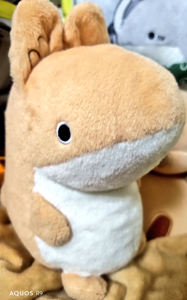 IDEAMASTER10's tweet photo. 私にとっての小さなお姉さん？お兄さん？どっちでも良いんだけれど。
行きたくないよぅと泣きつく私を、シャットアウト。
いっしょに行くから、今日も頑張ってみよう？
厳しいのか、甘いのか…
子ザメちゃんは、おでかけする気マンマンで準備中。あんちゃんは、今日はねんねしてよう。 https://t.co/agZBlF8jbb