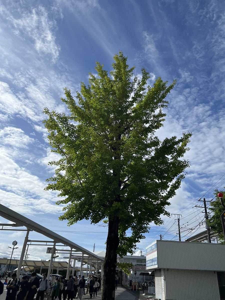 jiroyone3's tweet photo. おはよう
ございます

梅雨入り
朝の空は
晴れ間も
良い感じ

昨日のライブ
反省点をより良く

本日も
元気にいきましょう^ ^

#朝 #空 #晴れ間 https://t.co/T7av6egsMh