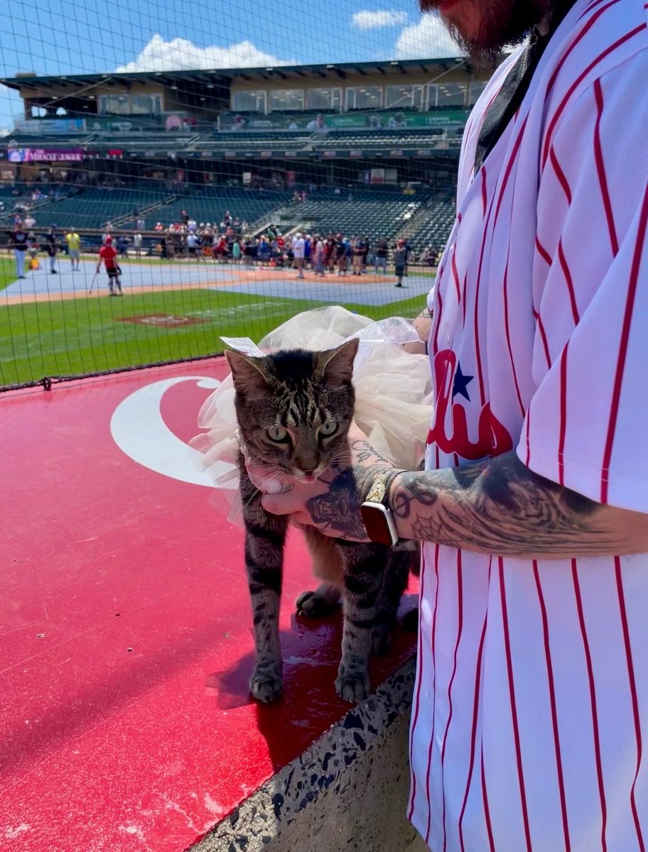 lawrator's tweet photo. @IronPigs what a good game! Seance loved the day at the park. Thank you all who said hello 😻 
#baseball #cats #ironpigs https://t.co/PB8x30oJjs
