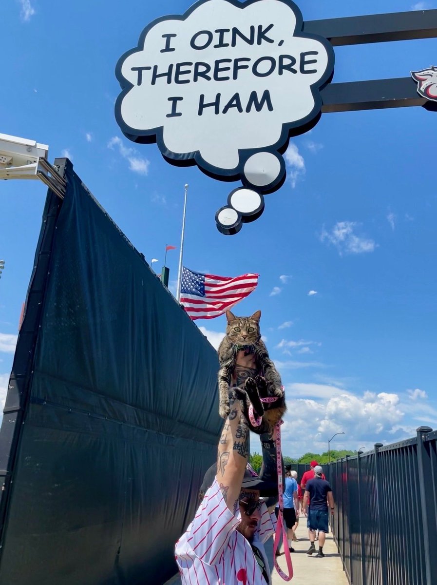 lawrator's tweet photo. @IronPigs what a good game! Seance loved the day at the park. Thank you all who said hello 😻 
#baseball #cats #ironpigs https://t.co/PB8x30oJjs