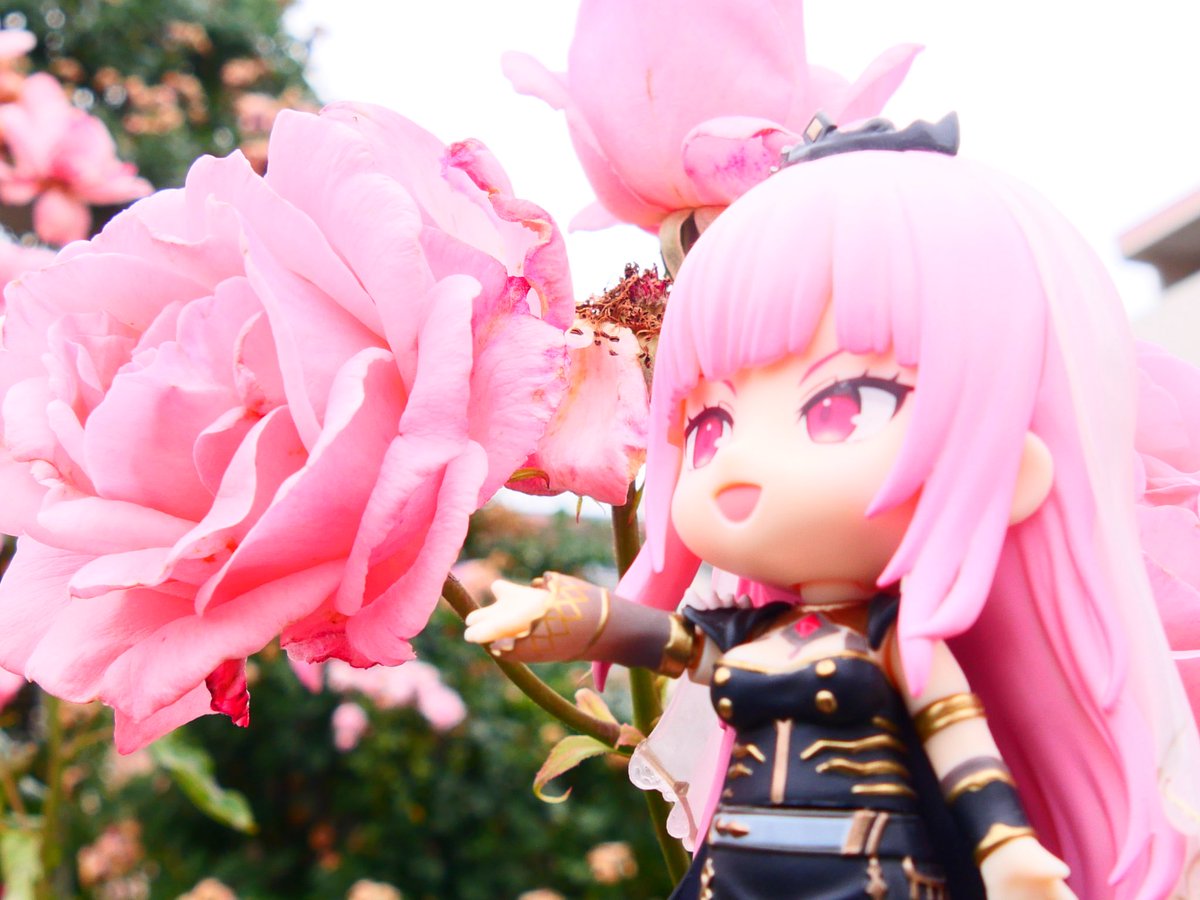 T_winza's tweet photo. ねんどろいど　森カリオペ　

初めてカリオペさんを連れての撮影！

もともとカリオペさんの歌が好きなので、カッコよさが出るようにしてみました！

#callillust
#マリゾー
#ねんどろいどホロライ部 https://t.co/g2lTMkoydf