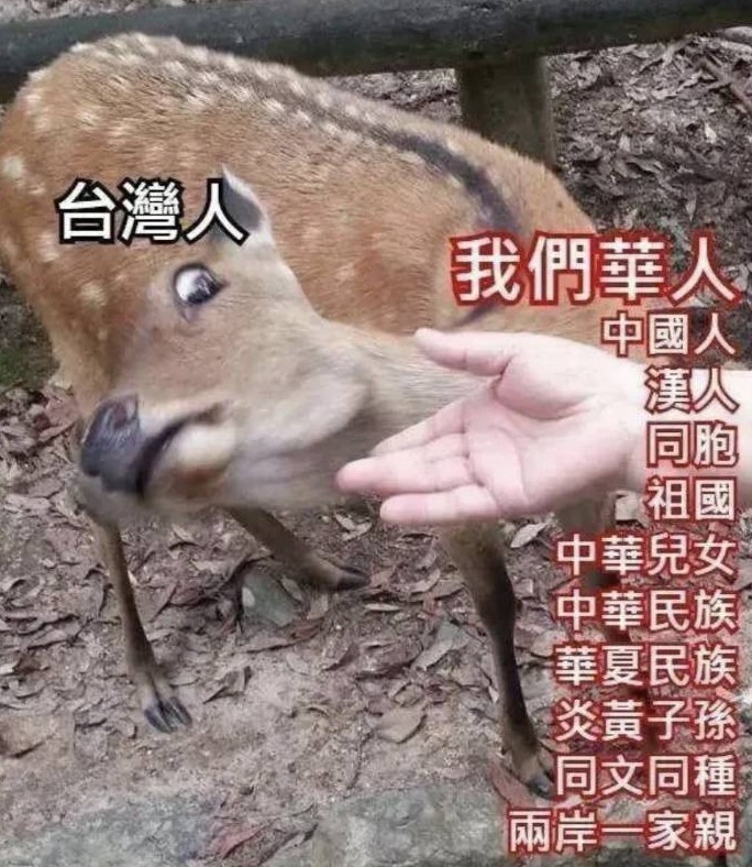 SayaVTuberJP's tweet photo. ちなみに、台湾人は中国人からこういうふうに呼ばれること（画像右側の用語）を嫌がります。台湾には先住民もいますし、祖先が中国から来た台湾人もいます。でも、それはあくまでルーツの話であって、今では「同胞」だとは思っていませんよね😇 https://t.co/vXv9tSTymG
