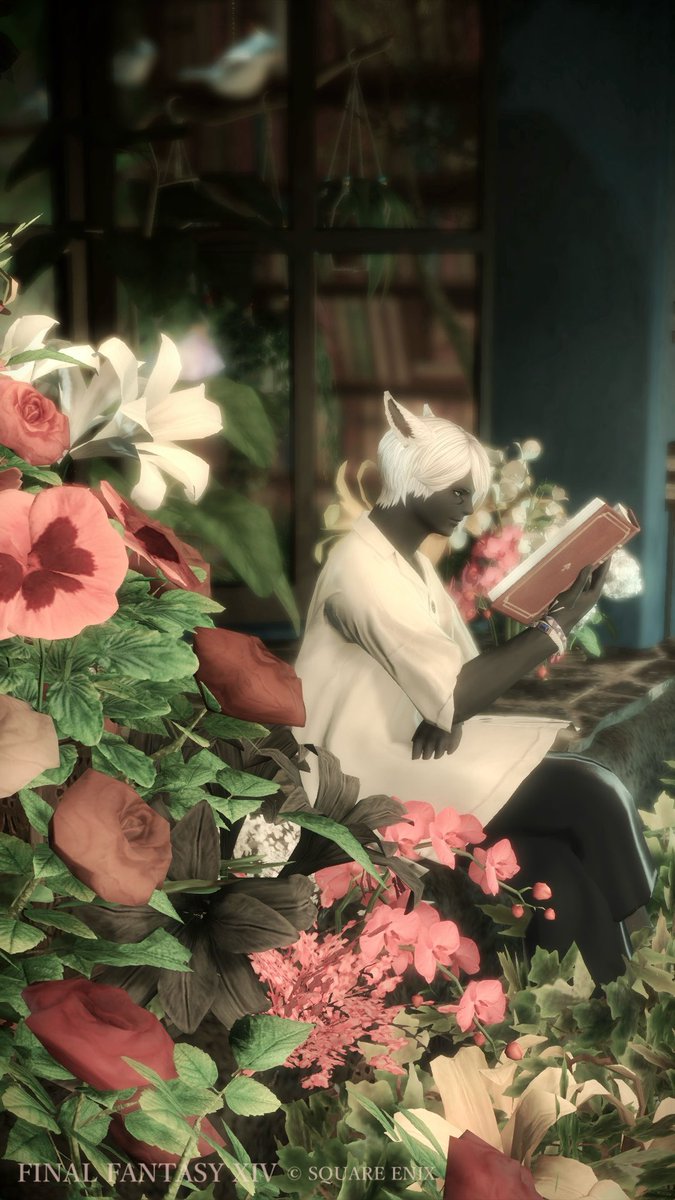 her_ff14's tweet photo. おはよう

【　𝐄𝐑𝐘𝐓𝐇𝐄𝐈𝐀　】

🏷️ #MaisonLunaria 
 #FF14SS https://t.co/Dtxq1ECA7q