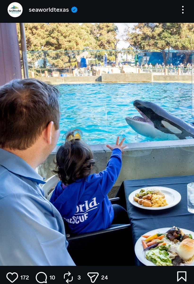 Shamu Visions® tweet media