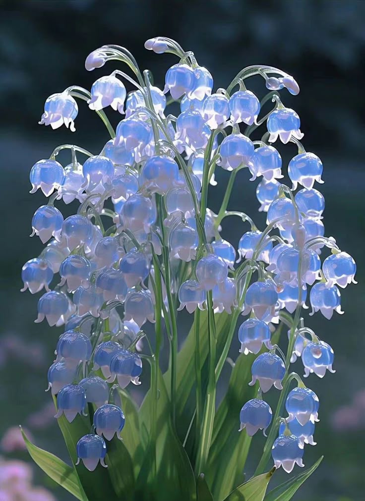 elyradream's tweet photo. lily of the valley https://t.co/XwJfb6GKYw