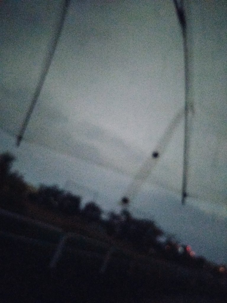 BWithWANDERLAND's tweet photo. おはようございます。朝から霧のような雨が降ってますね。今日から金曜日まで出張です。出張と行っても実際はそんな遠方ではありませんでした（笑）色々制約されて今週は大人しくしてます。週の始まり月曜日、今日も1日頑張りましょう!！
#イマソラ https://t.co/EgIIrya7eU
