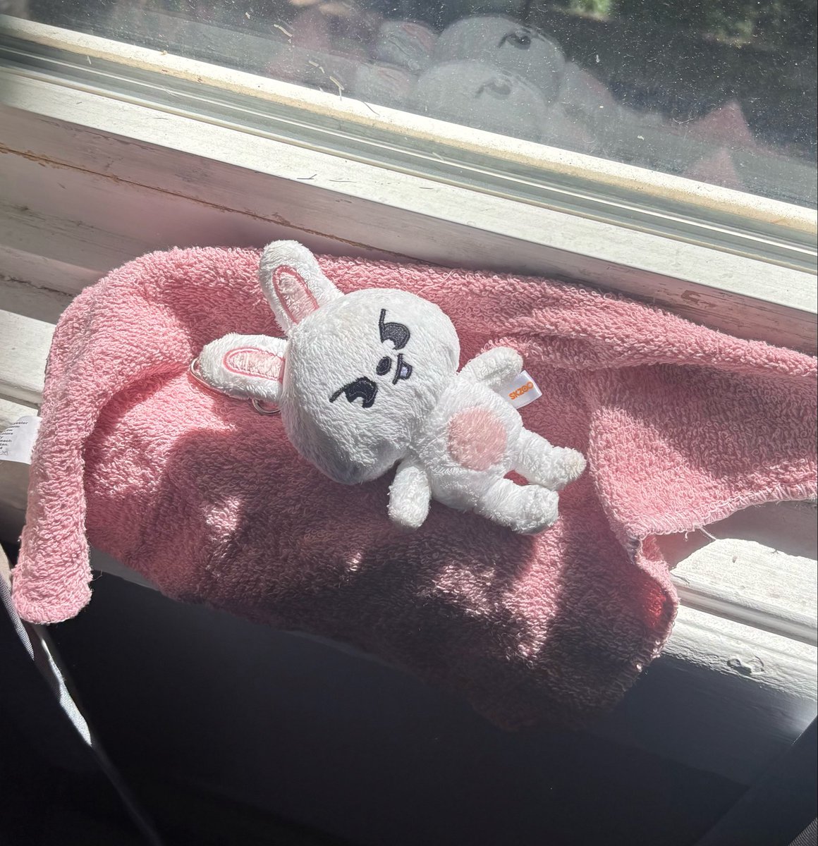 calicoals's tweet photo. leebit had a much needed spa day bc he did not survive govball https://t.co/vxcaUBjRRY