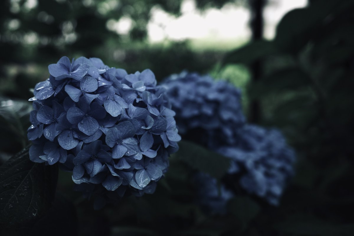 ypn_2's tweet photo. 昨日の誠 https://t.co/o4mQrDzbja