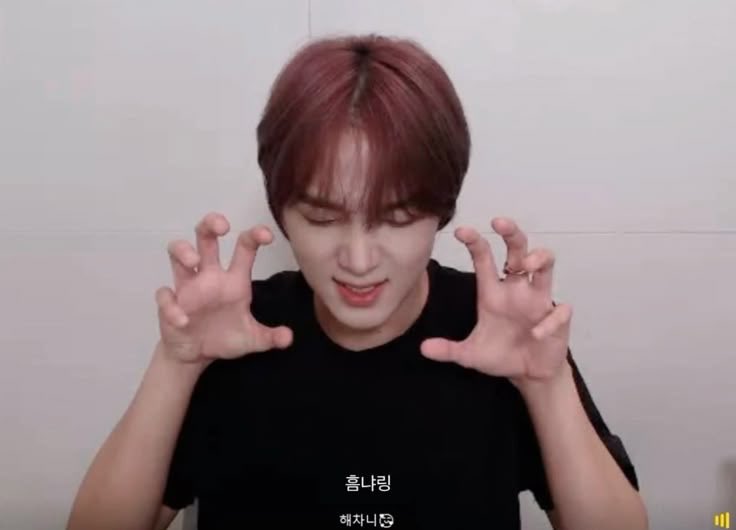 gorgosaur's tweet photo. My eyes are closing but I want to speak on deinonychan… You are loved by many with those claws of yours #deinonychan #dinodream https://t.co/dJACx1f1xU