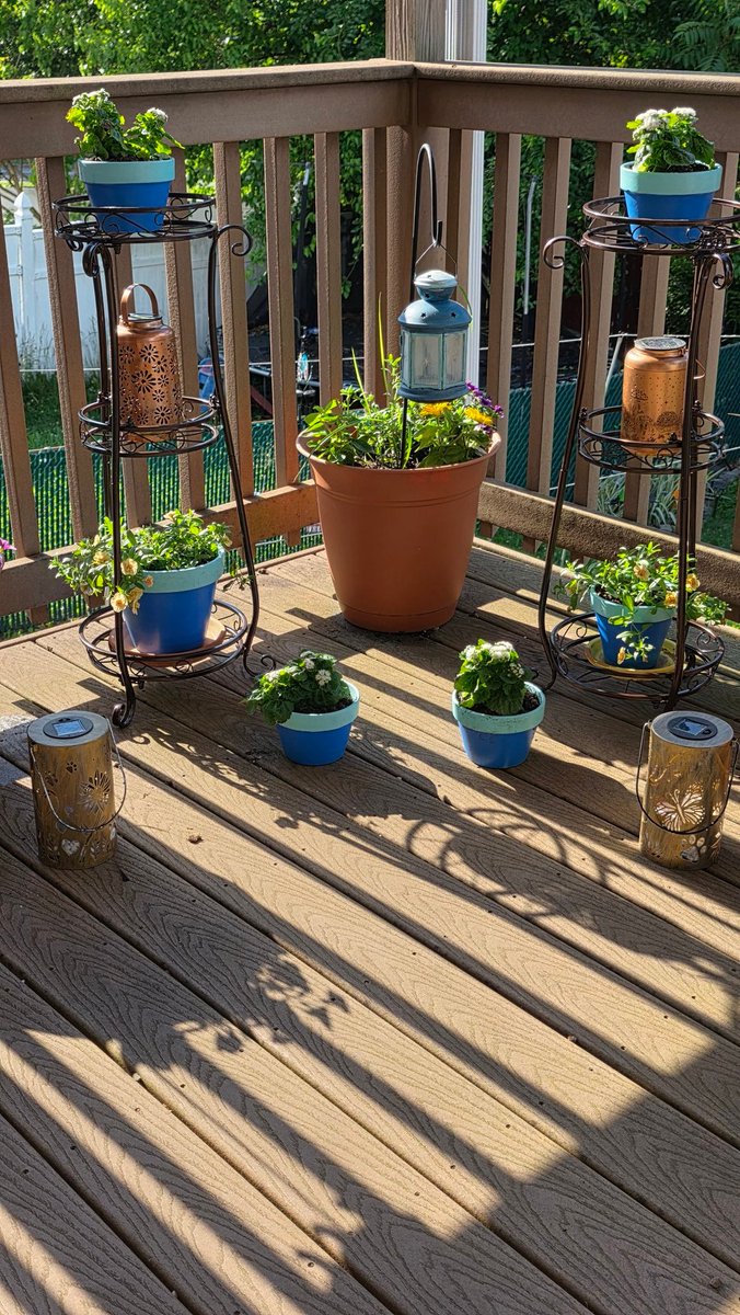 crazyforinfo's tweet photo. Loving our new plant stands! https://t.co/6a9vKsnxUU
