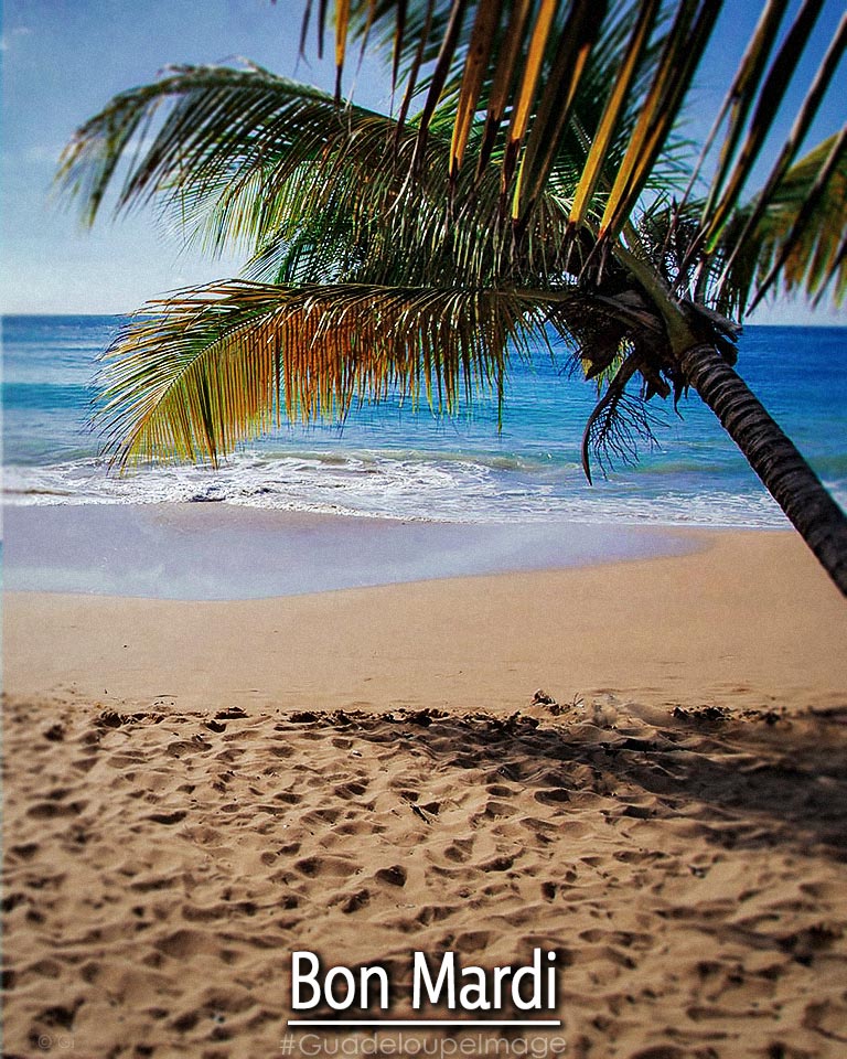 Guadeloupe_Pic's tweet photo. Venez faire trempette avec nous 🌊🌴
#Guadeloupe #GuadeloupeImage https://t.co/CLNCYTvv1g