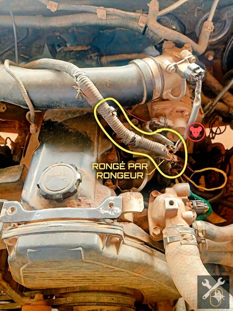 pporro294's tweet photo. Le cas du Toyota D4D qui ne voulait plus démarrer.

1).Aujourd'hui, je vous partage un diagnostic technique. Ce moteur Toyota avait de gros problèmes d'allumage. Après inspection, le coupable n'était ni une pièce mécanique, ni un capteur HS...
C'était:...👇👇👇 https://t.co/keupzONFoP