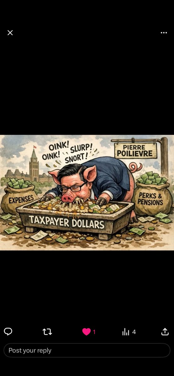 Richard_here65's tweet photo. @ShannonStubbsMP https://t.co/PDWV0nnCKH