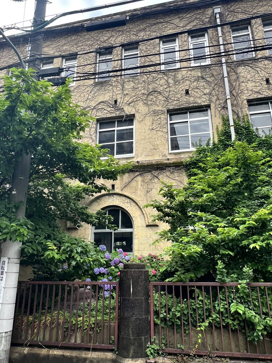isocchi51's tweet photo. 2026.06.08(月)
#元成徳中学校の紫陽花 
#元成徳中学校 
#成徳学舎 
#紫陽花 
#今朝の京都 https://t.co/mc4eOoaKlO