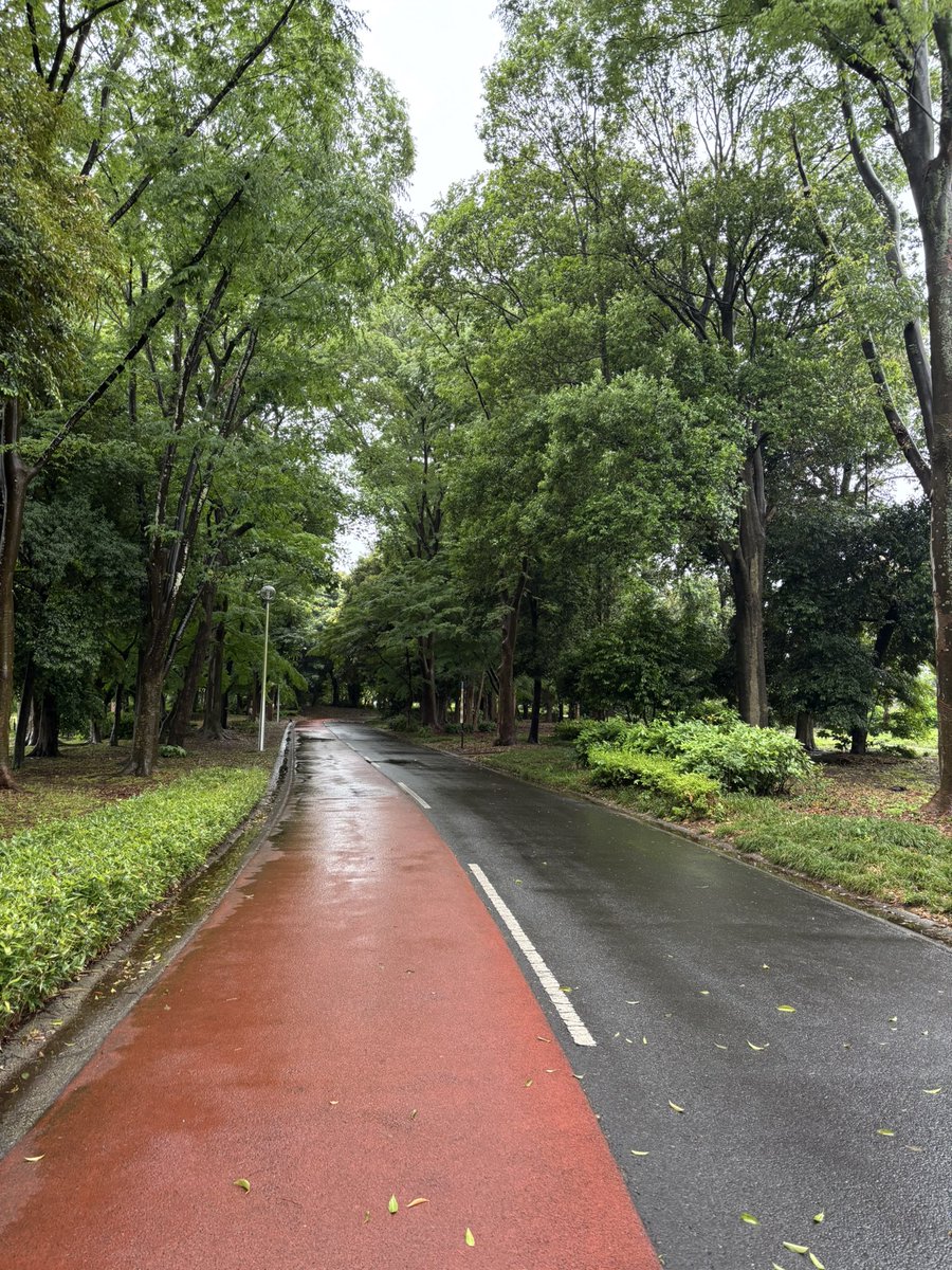 manatee119's tweet photo. 雨降り☔️月曜朝はサクさん神社⛩️枠。
お賽銭の小銭は銀行で手数料を払って両替してるそう。電子マネーお賽銭にすれば解消されるのかな😊

Tomoさんグルメ枠
Karenさん枠で話題の黒豆ごはんをレンチン炊飯器で炊いたのがヤミー👍
香ばしい！

#ライブラン https://t.co/XtddTbWAA6
