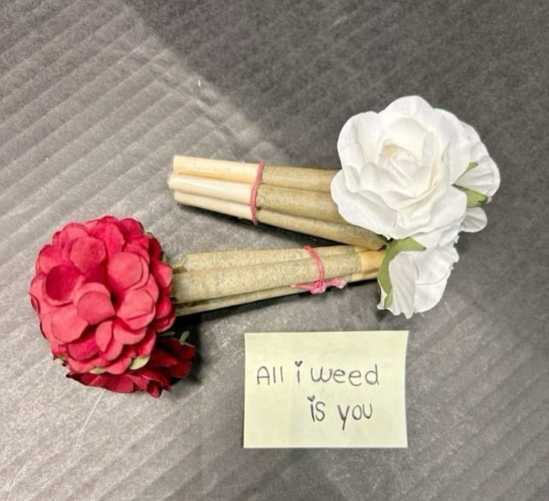 2_hi_4_u's tweet photo. It weeds me 👽💚 https://t.co/Wr0OTJwIMC