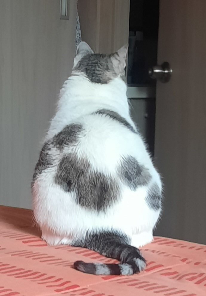 ViajarPc's tweet photo. cristal esperando a su mamá https://t.co/za6S2mM4Sl