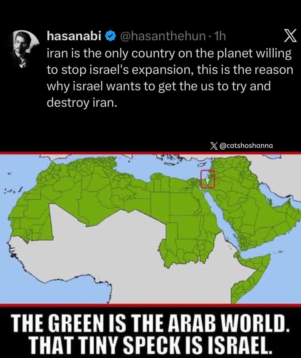 CatShoshanna's tweet photo. 400 million Arabs + endless land + trillions in oil = victims of 9 million Jews. Pathetic really. https://t.co/8O4vYiXrpn