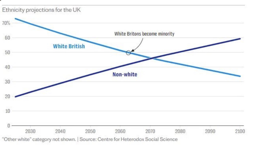 2000_beep's tweet photo. @kevinhollinrake Unilateral white individualism amidst relentless involuntary demographic replacement by more ethnocentric outgroups is an obvious recipe for exploitation &amp; defeat.

We remigrate millions to make unilateral white individualism affordable again, or it’s every tribe for themselves. https://t.co/tbHZHu71vo