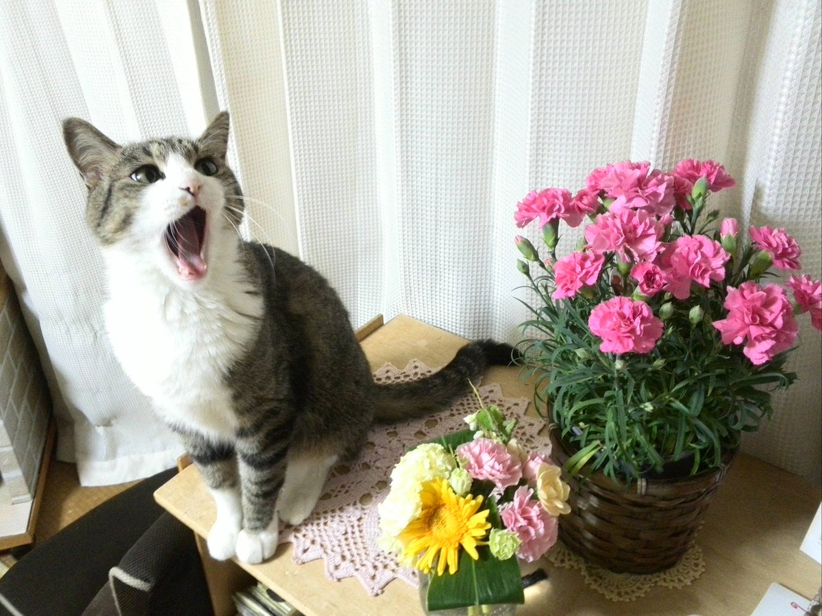 MaYuChiV's tweet photo. 雨降らへんのかーーーーーーい https://t.co/LPusHCLhEr