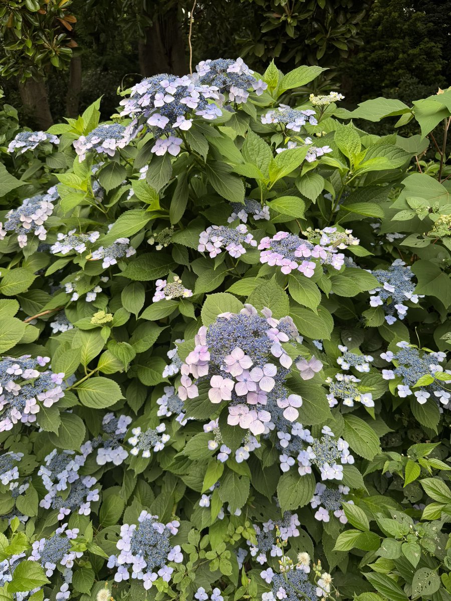 magnetmagever's tweet photo. おはようマグサンド🧲

今日はあるところでレアアースについてお話しします

今の現状をしっかり伝えられるように、ひと月前から準備してきました

だから、だ、大丈夫かな💦

がんばるぞ✊ https://t.co/tDg7TBqUNr
