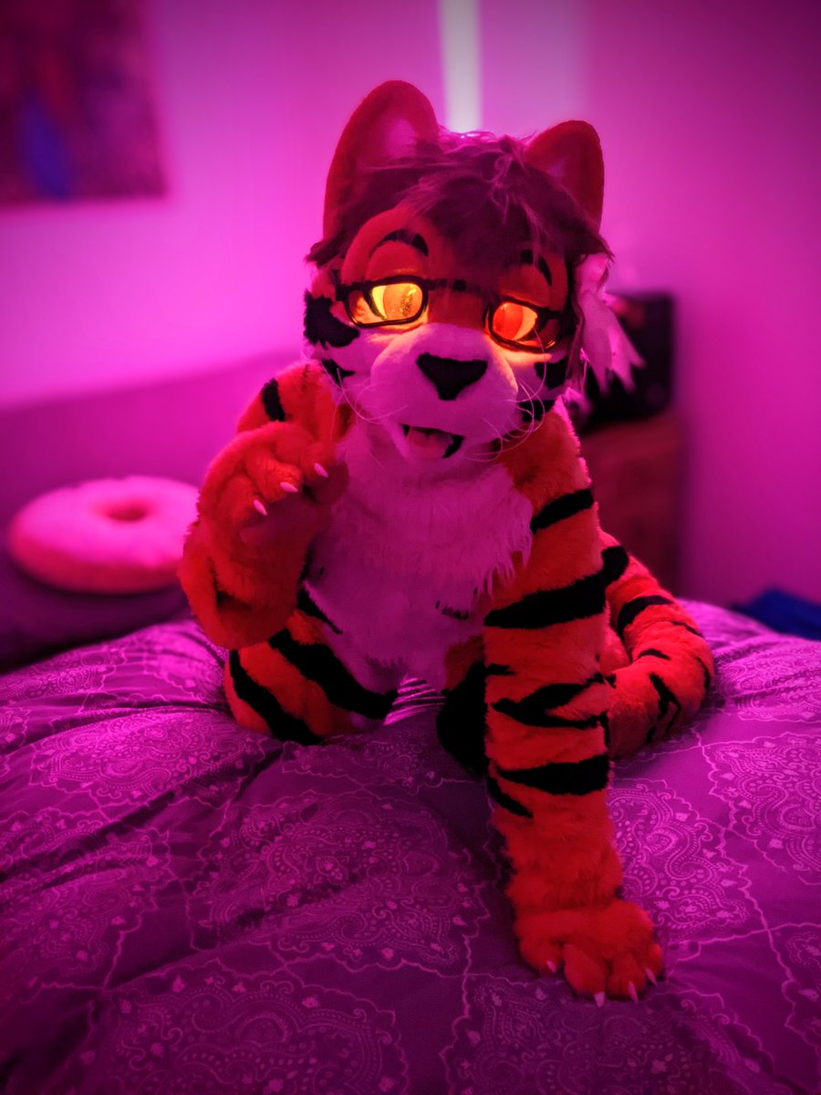 whisky_wah's tweet photo. Some photos I edited and took https://t.co/TrEQjZ4BHF