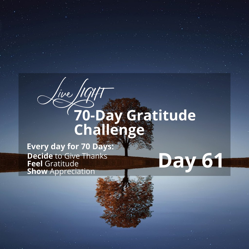 LL_Intentional's tweet photo. Welcome to Day 61 of the Gratitude Challenge—a journey where thankfulness meets hope, and every blessing becomes a reason to rejoice!

Read more 👉 https://t.co/b78qhnPAH9

#gratitudechallenge #dailygratitude #LiveLIGHT https://t.co/IDwVtuMIfZ