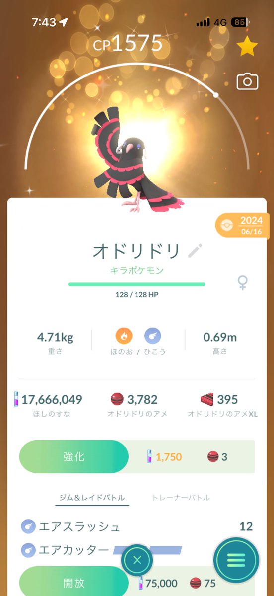 daigameK's tweet photo. 海外フレンドからリモート交換でオドリドリ（めらめら）の色違いいただきました！🥳
自分には縁がないポケモンだから本当に嬉しい😊
ありがとうございました！！
#ポケモンGO https://t.co/7YWTrdzctv