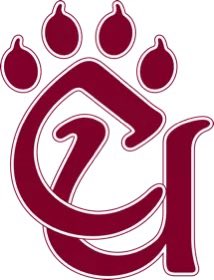 eli_pauley7's tweet photo. After a great camp with @ConcordFootball and a great conversation with @Coach_Duby and @KevinNeal28 i’m blessed to receive my first offer from @ConcordFootball 

Go Mountain Lions! https://t.co/swKt8ee4uN