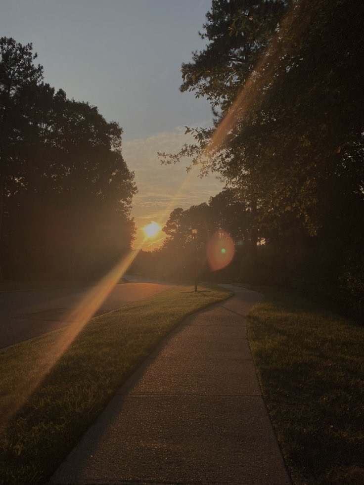 chilvantry's tweet photo. ㅤㅤㅤㅤ
Good morning, everyone. It’s been a while since I had a morning walk. Starting the week right. Happy Monday!
ㅤㅤ https://t.co/jqZjmDdRm1