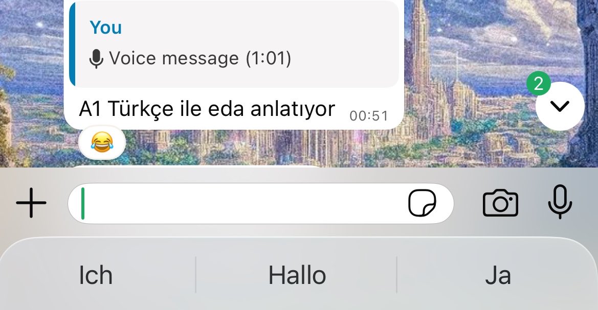 EdaaBulbul's tweet photo. Sadece Türkçe konuşmaya çalışmışımdır https://t.co/MsWOXnBmUB
