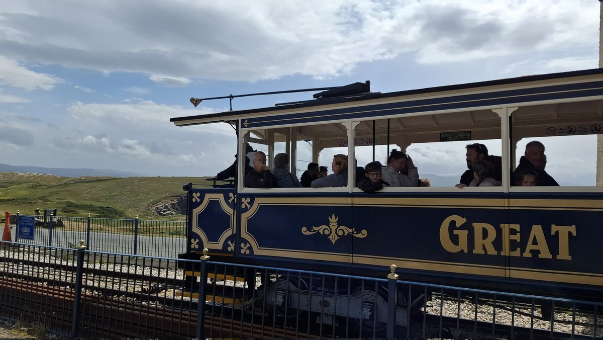 scaredofbones's tweet photo. Went to Wales. It was very windy but very nice, and I won some new seagulls at the arcade in Llandudno. https://t.co/aKNiqTJjkc