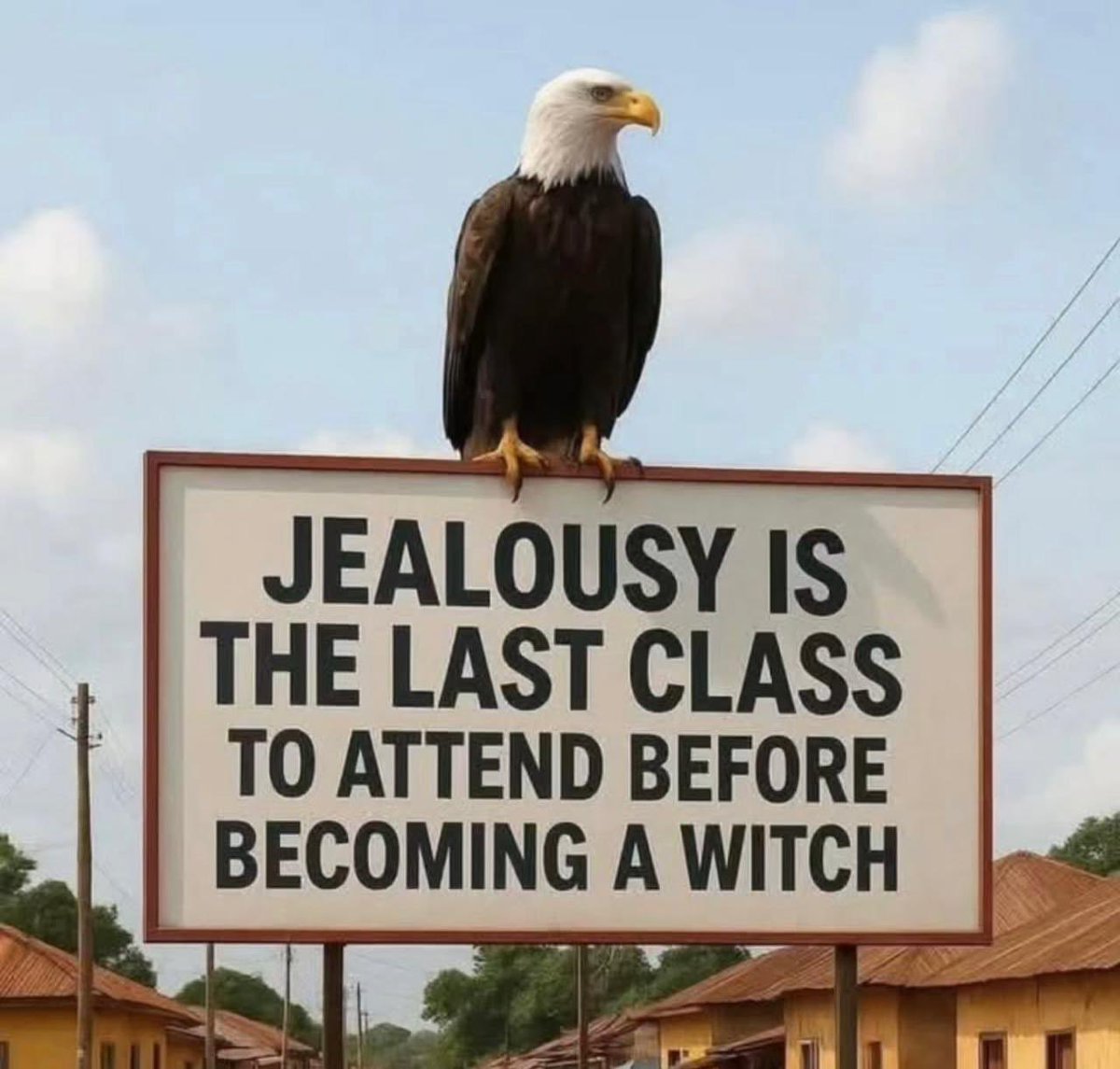 IamMzilikazi's tweet photo. ❝If jealous was money, a lot of people would be millionaires and many others would be billionaires.❞ ~ Mzilikazi wa Afrika https://t.co/safRQwlPWY