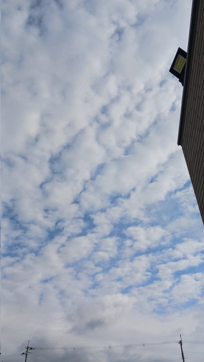 LDimlim's tweet photo. 人生の大先輩が言う
「健康が一番❗」
がなんとなくわかったような☺️

ぱを～🐘😃🍒😃
おはよう☀🙋❗

ケツ曜日のsora 😜 https://t.co/snh2uhtlj8
