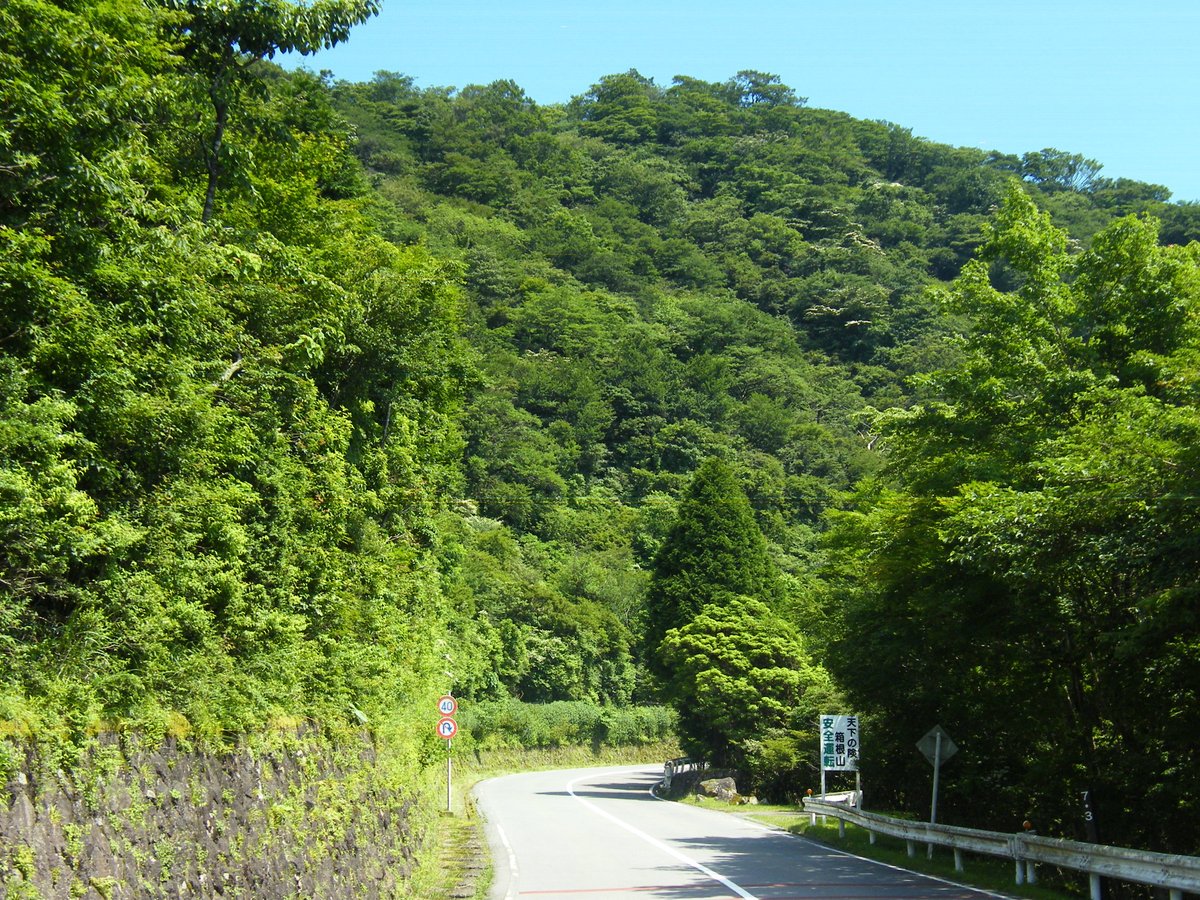 SkylineAshinoko's tweet photo. 山の木々の緑が濃くなりきれいな色になりました。
晴れた日には　太陽の光が当たるとひときわ鮮やかになります。
ｍｈ　＃芦ノ湖　＃箱根 https://t.co/FkiQlrjH7j