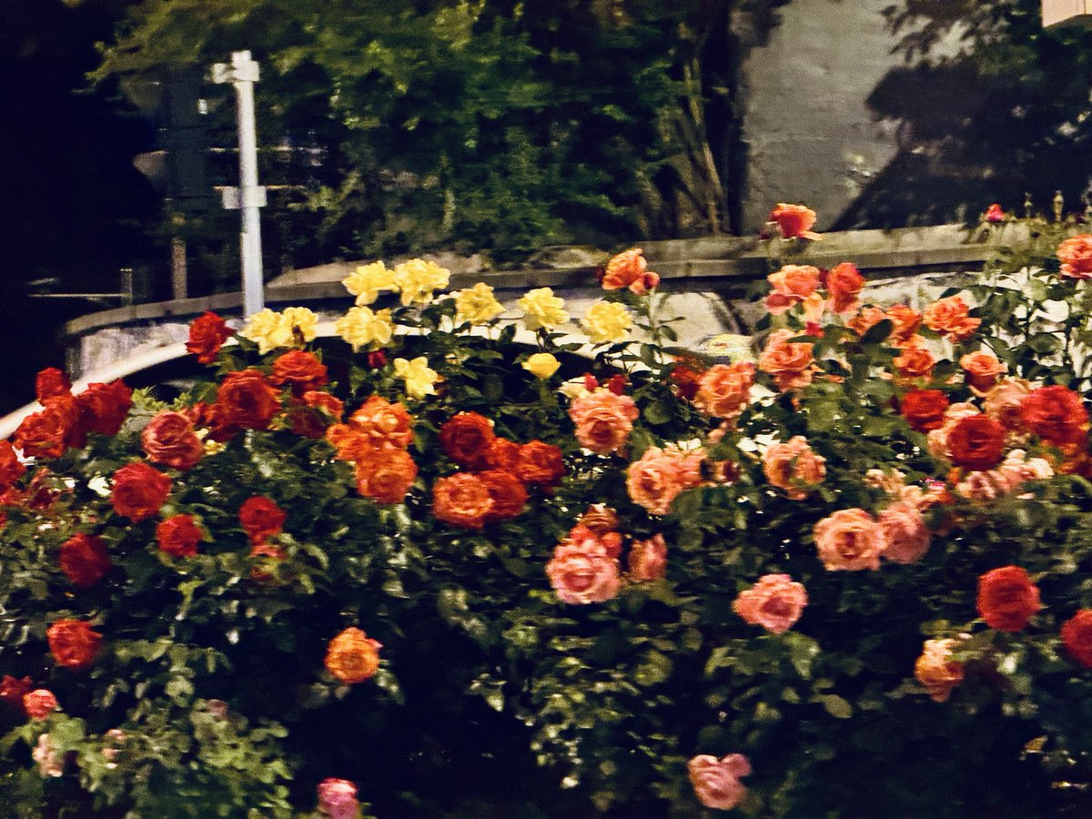 wkr23272008's tweet photo. https://t.co/4D5mybj1aU