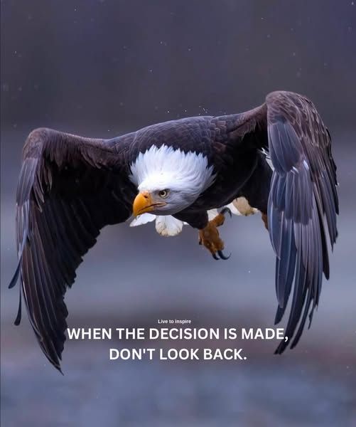 mcain1954's tweet photo. Good😴Veterans, Patriots + Friends🇺🇸
#Turn22To0 #EndVeteranSuicide 💞💞
#BuddyChecksMatter #HugAVet🫂🫂
#PTSDWarrior #JustListen⭐️⚓️⚔️🛩🪂
Enjoy your night...Love your Freedom... https://t.co/GcfAQAWhVu