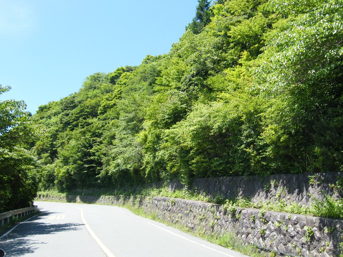 SkylineAshinoko's tweet photo. 山の木々の緑が濃くなりきれいな色になりました。
晴れた日には　太陽の光が当たるとひときわ鮮やかになります。
ｍｈ　＃芦ノ湖　＃箱根 https://t.co/FkiQlrjH7j
