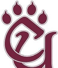 MaddoxMorr5's tweet photo. Had a great time at the @ConcordFootball camp today, and after a great conversation with @_lvbunkley I’m blessed to receive my first offer!!! 

@BeckleyFB @StreetSarrett @PrepRedzoneWV https://t.co/HAluIS8ekR