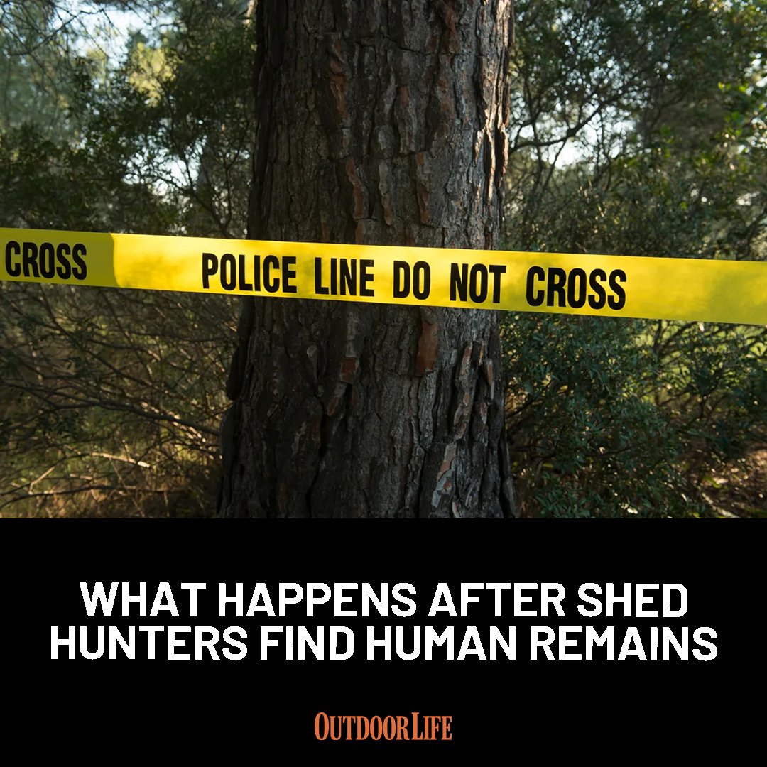 outdoorlife's tweet photo. Every year shed and mushroom hunters stumble across the remains of a person in the woods. Those discoveries are just the beginning: https://t.co/givqOjlUhH https://t.co/opk6ZuTwDX
