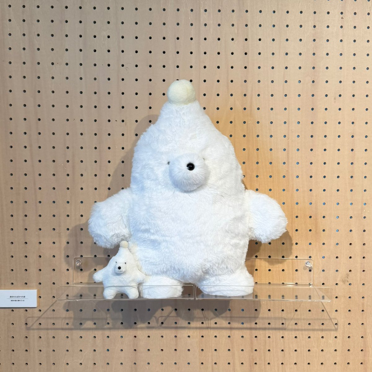 カネヒラ (@simainusima) / Posts / X
