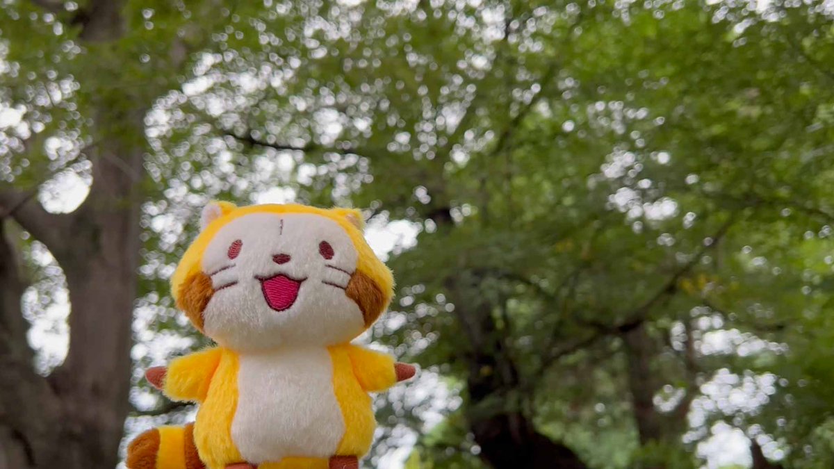 sterlingras1221's tweet photo. 雨の月曜日、みんな元気におはようミャ〜！
🦝✨ https://t.co/jdb6XQxK9Q