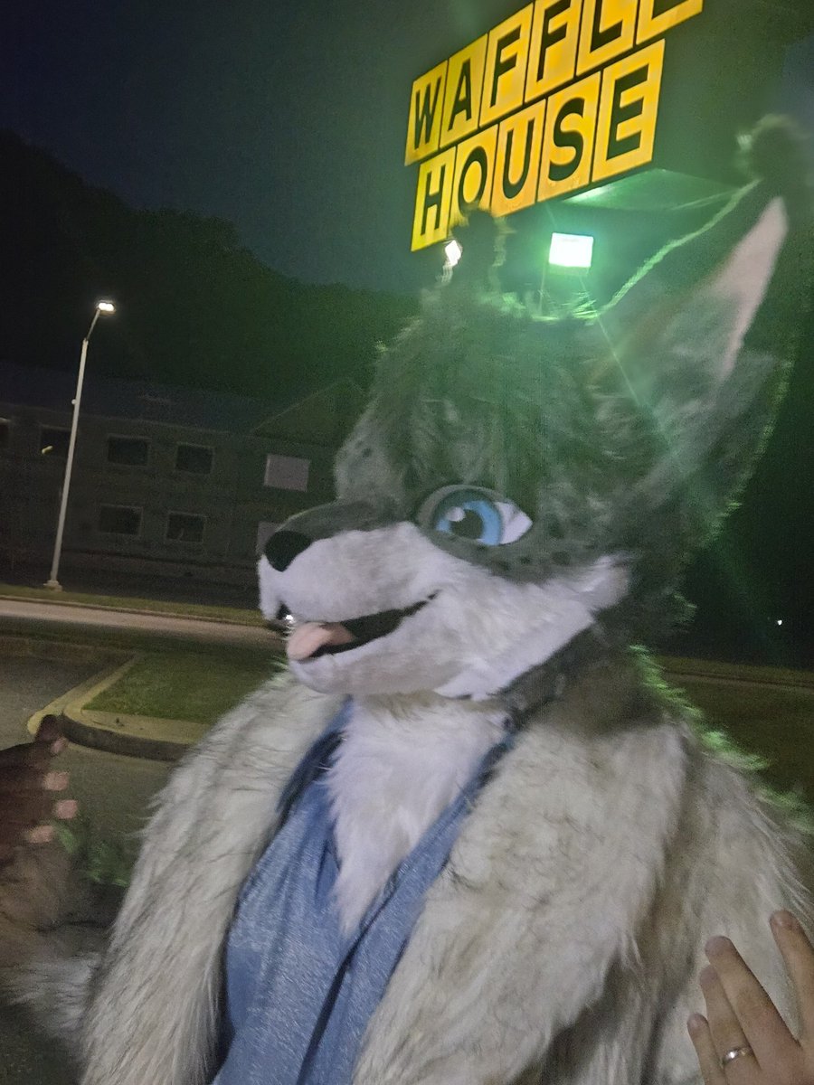 BrotchenLynx's tweet photo. Take me back to the random waffle house in North Carolina, I miss it 😢 https://t.co/8OGv6EPFTx